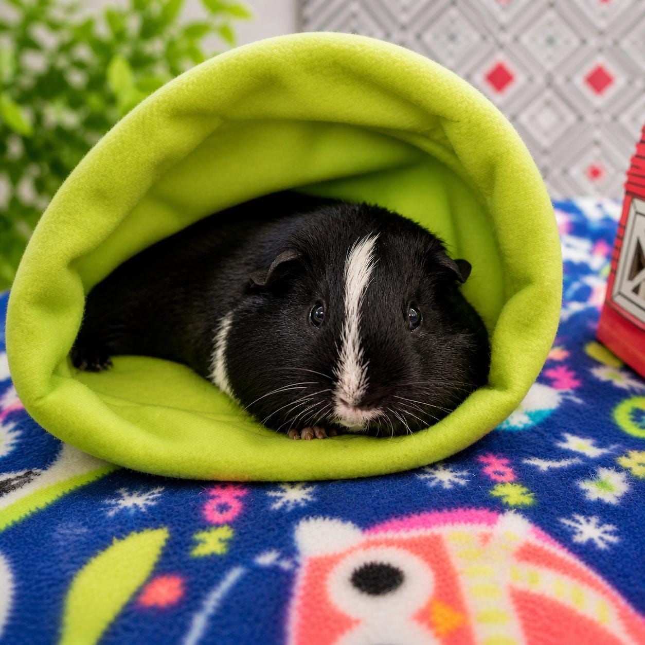 Cuddle Sack Fleece Snuggle Bed Cozy Small Pet Hideout Washable Guinea Pig Bed – Hedgehog Rat Ferret Bed