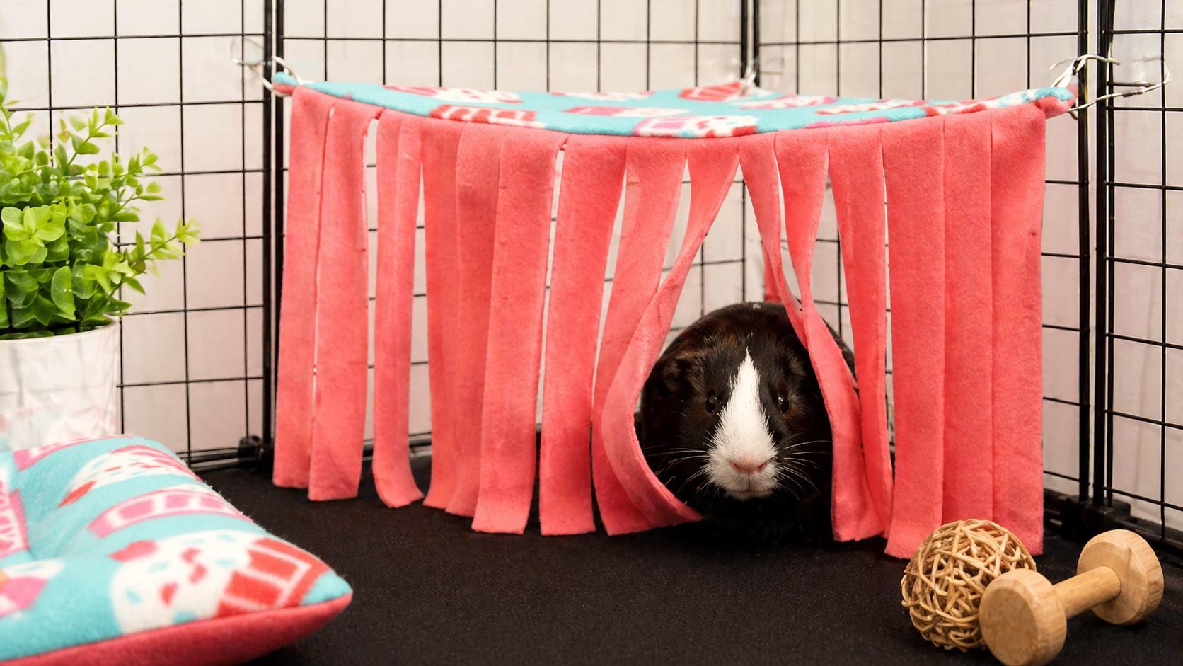 Cage Hammock
Pee Pad
2x4 Liner
Cage Liner
Guinea Pig
Guinea Pig Tunnel
Fleece Forest
Corner Hide
2x1 Curtain
Corner Curtain
Kavee Cage
Guinea Pig Hidey

Custom Fleece C&C Cage Liner - 1x2 2x2 2x3 2x4 2x5 2x6 Liner | Fleece Cage Liner | Guinea Pig Cage Liner | Hedgehog Absorbent Fleece Liner