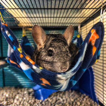 This custom fleece corner hammock is designed for comfort, warmth, and space-saving — the perfect lounging spot for guinea pigs, rats, ferrets, and other small pets. Made with ultra-soft fleece and strong, secure hooks, it easily attaches to any cage corner to create a snug, elevated bed your pet will love. This space-saving hanging bed is perfect for guinea pigs, rats, ferrets, and other small animals who love to relax in warmth and comfort.