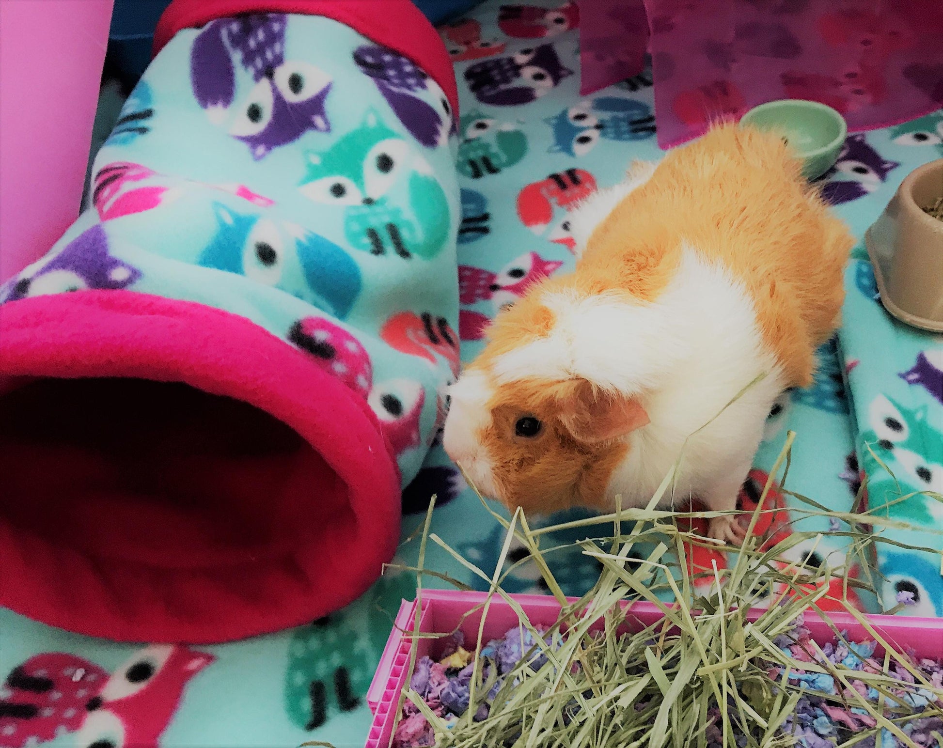 Give your small pets the cozy hideaway they deserve with this Guinea Pig Tunnel Bed, designed for comfort, play, and stress-free snuggling. This soft tunnel creates the perfect safe space. This washable small animal hideout is ideal for guinea pigs, hedgehogs, ferrets, chinchillas, and other small pets.
Features reinforced, structured openings on both ends to help it stay open, making it easy for your pets to enter, exit, and explore. It’s perfect for playtime or nap time.
