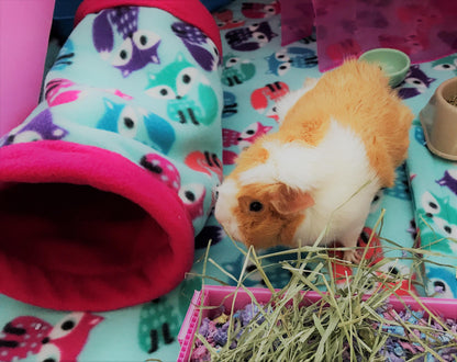 Give your small pets the cozy hideaway they deserve with this Guinea Pig Tunnel Bed, designed for comfort, play, and stress-free snuggling. This soft tunnel creates the perfect safe space. This washable small animal hideout is ideal for guinea pigs, hedgehogs, ferrets, chinchillas, and other small pets.
Features reinforced, structured openings on both ends to help it stay open, making it easy for your pets to enter, exit, and explore. It’s perfect for playtime or nap time.