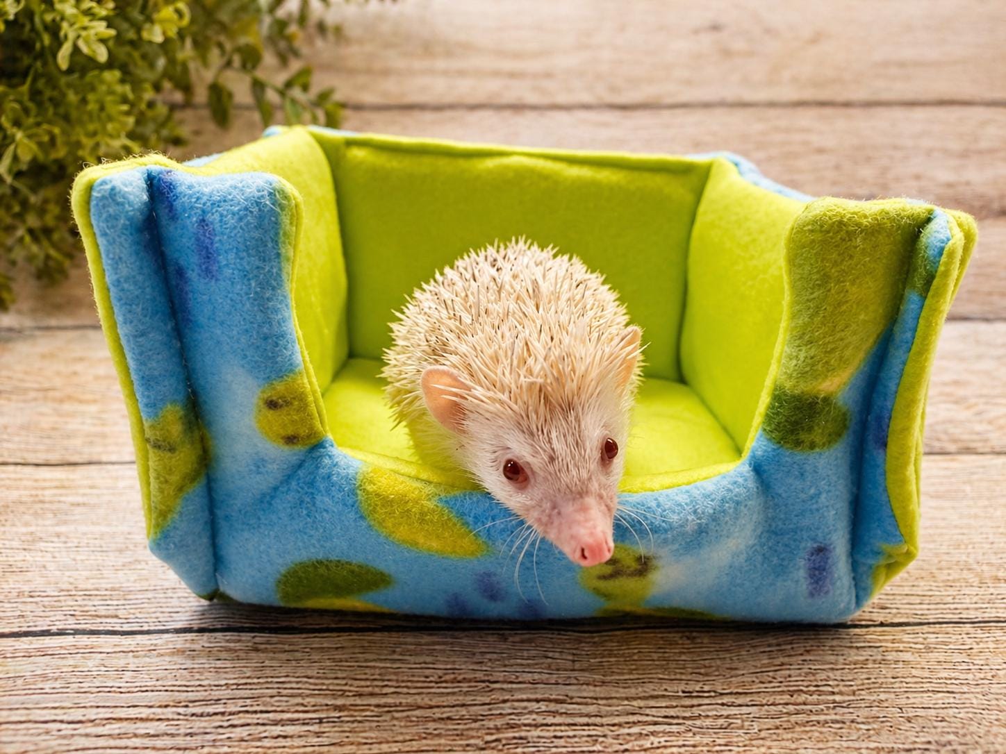 2x3 Liner
Cage Hammock
Pee Pad
Guinea Pig Toy
Absorbent Uhaul
C and C Cage
2x4 Liner
Midwest Cage
Piggy Bed
Guinea Pig Liner
Cage Liner
Guinea Pig
Cuddle Cup

Custom Fleece C&C Cage Liner - 1x2 2x2 2x3 2x4 2x5 2x6 Liner | Fleece Cage Liner | Guinea Pig Cage Liner | Hedgehog Absorbent Fleece Liner