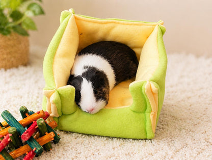 2x3 Liner
Cage Hammock
Pee Pad
Guinea Pig Toy
Absorbent Uhaul
C and C Cage
2x4 Liner
Midwest Cage
Piggy Bed
Guinea Pig Liner
Cage Liner
Guinea Pig
Cuddle Cup

Custom Fleece C&C Cage Liner - 1x2 2x2 2x3 2x4 2x5 2x6 Liner | Fleece Cage Liner | Guinea Pig Cage Liner | Hedgehog Absorbent Fleece Liner